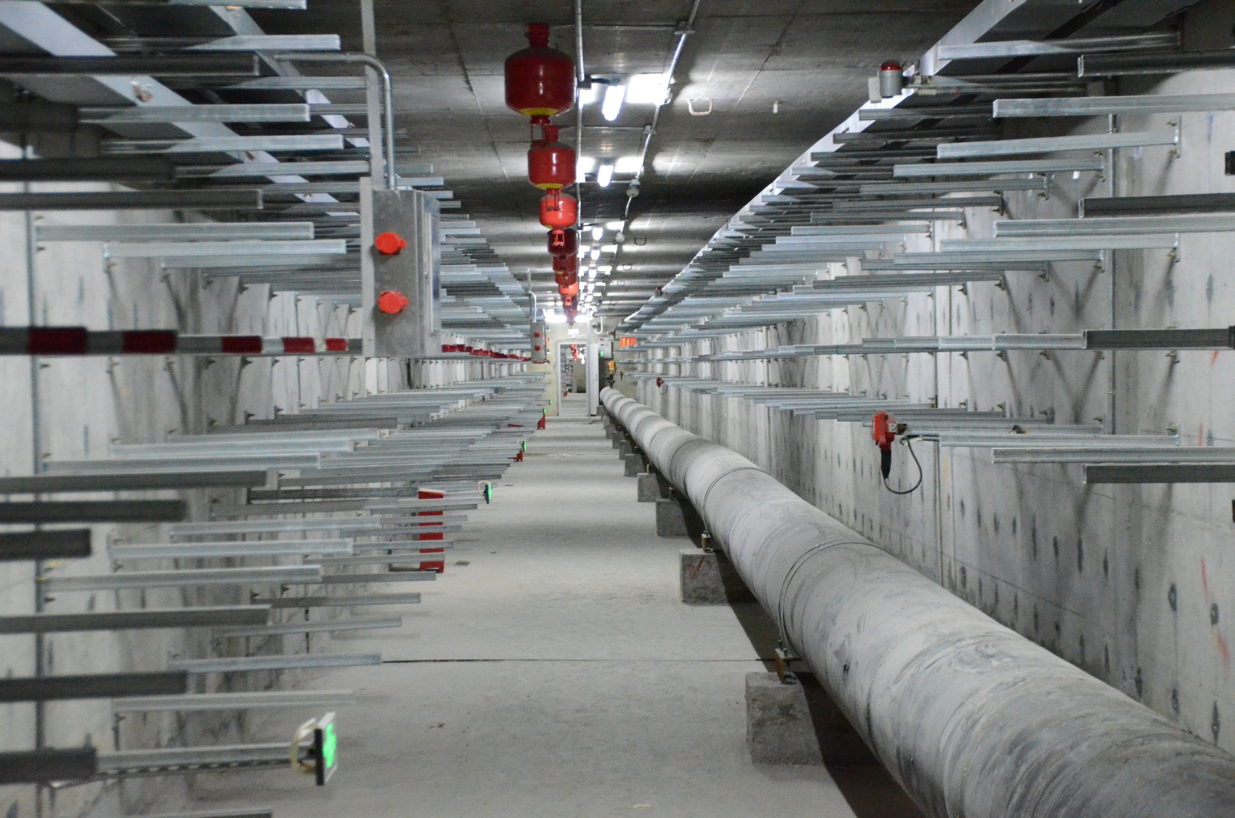 1575527852485896.jpg 1575527852485896.jpg